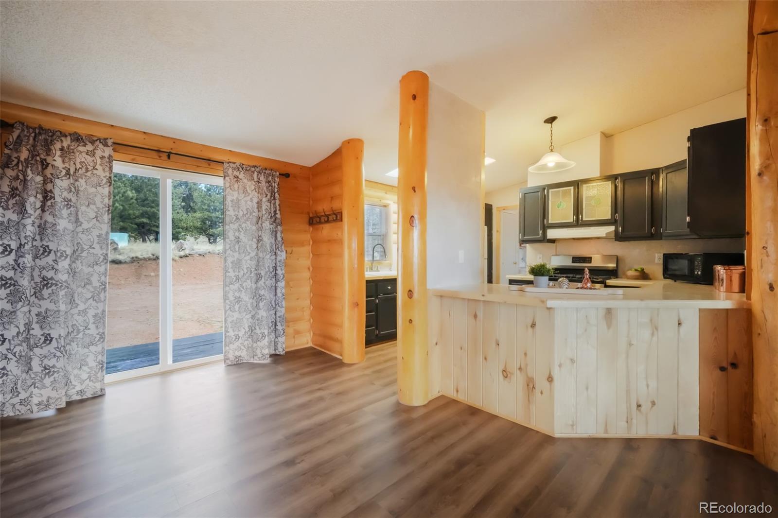 MLS Image #11 for 141  navajo circle,florissant, Colorado