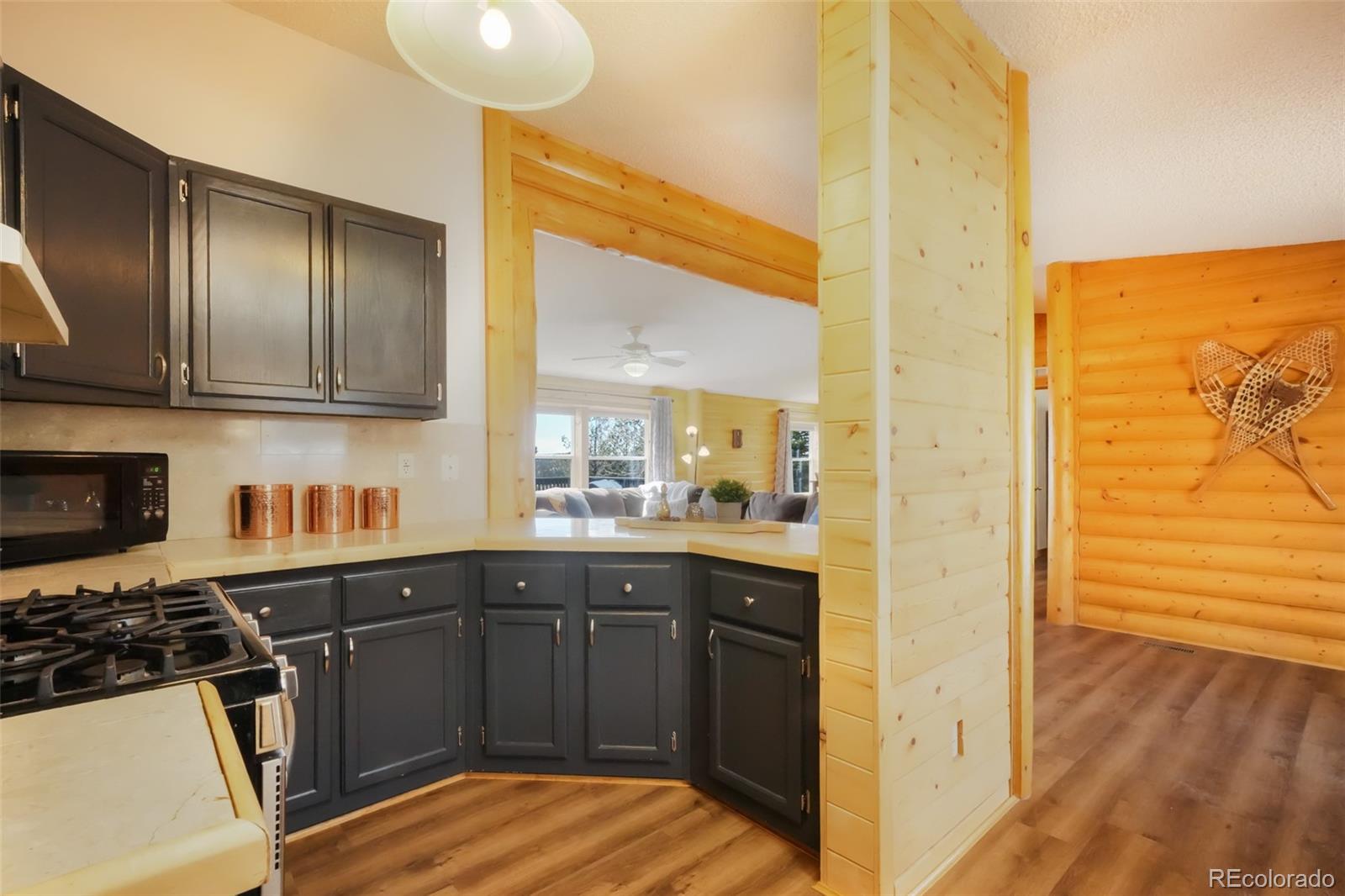 MLS Image #22 for 141  navajo circle,florissant, Colorado
