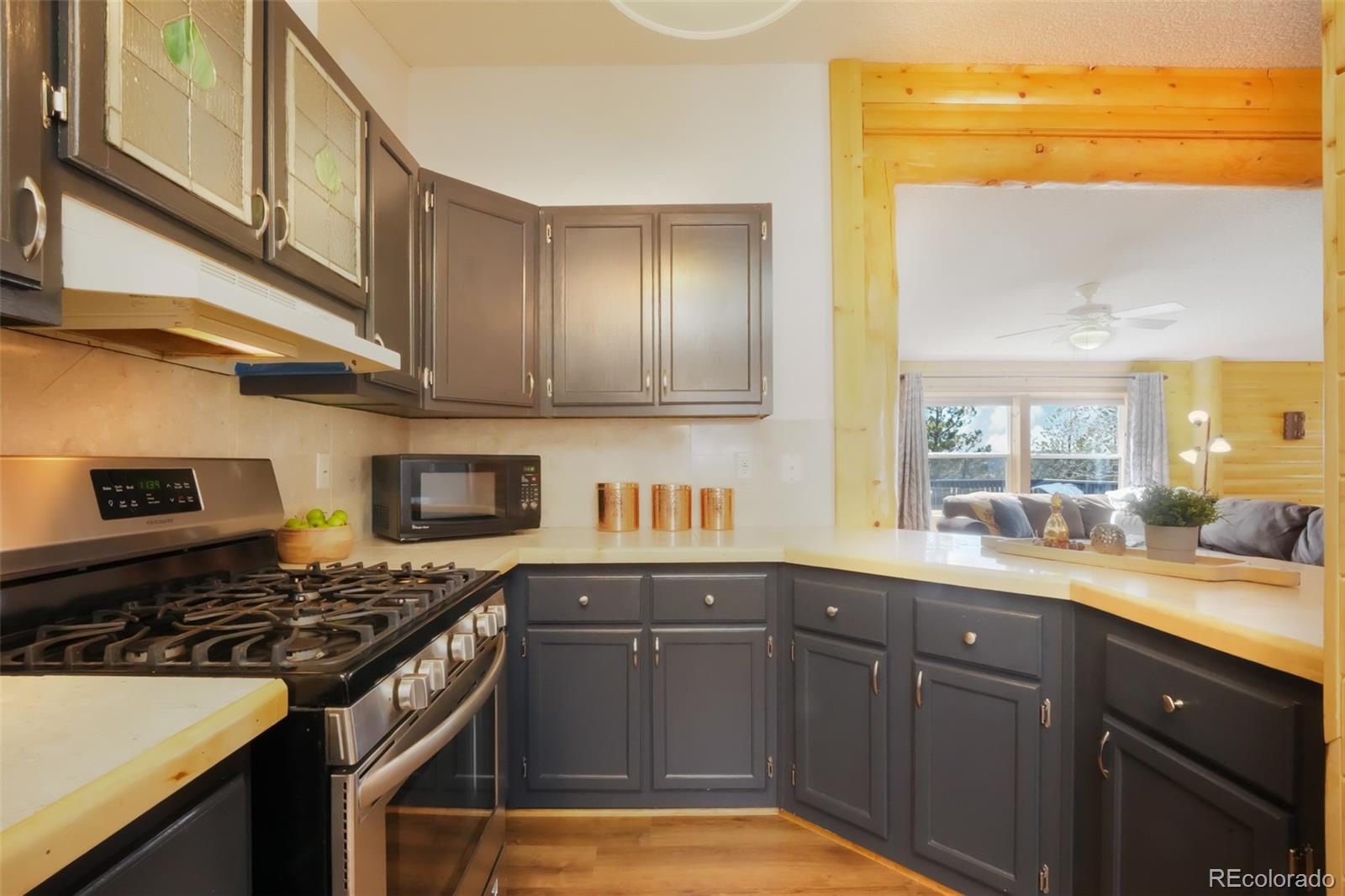 MLS Image #24 for 141  navajo circle,florissant, Colorado
