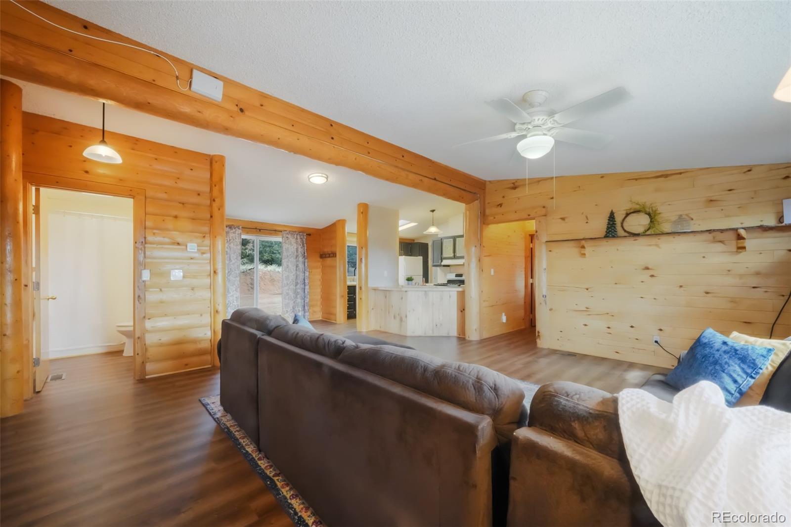 MLS Image #4 for 141  navajo circle,florissant, Colorado