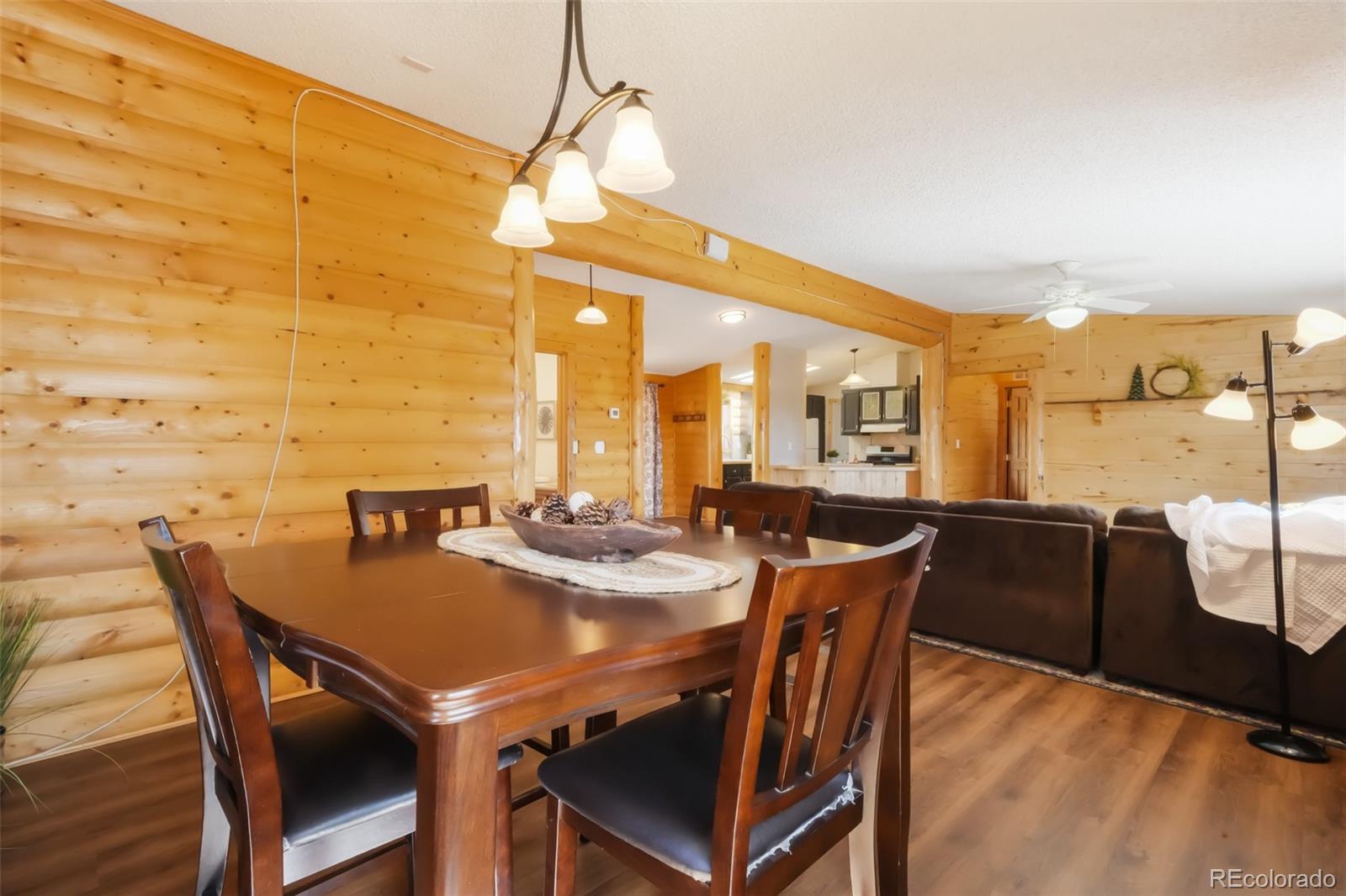MLS Image #7 for 141  navajo circle,florissant, Colorado