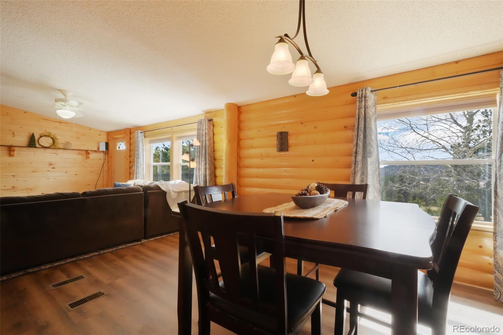 MLS Image #8 for 141  navajo circle,florissant, Colorado