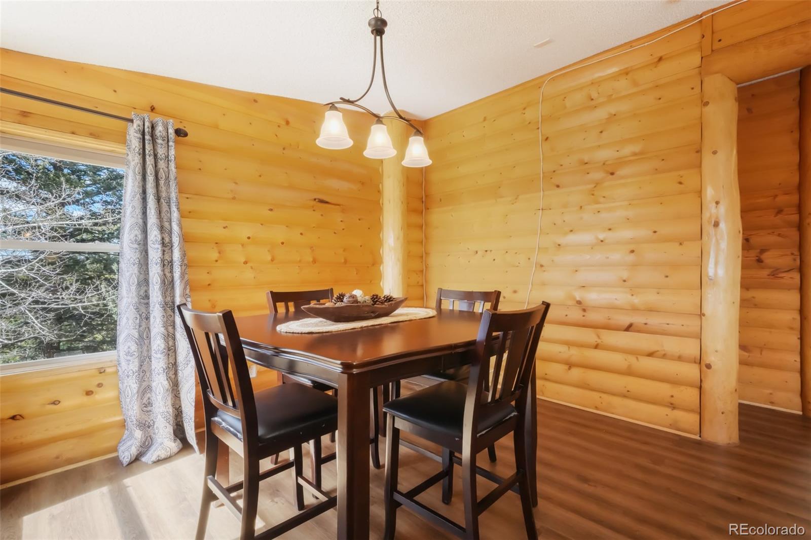 MLS Image #9 for 141  navajo circle,florissant, Colorado