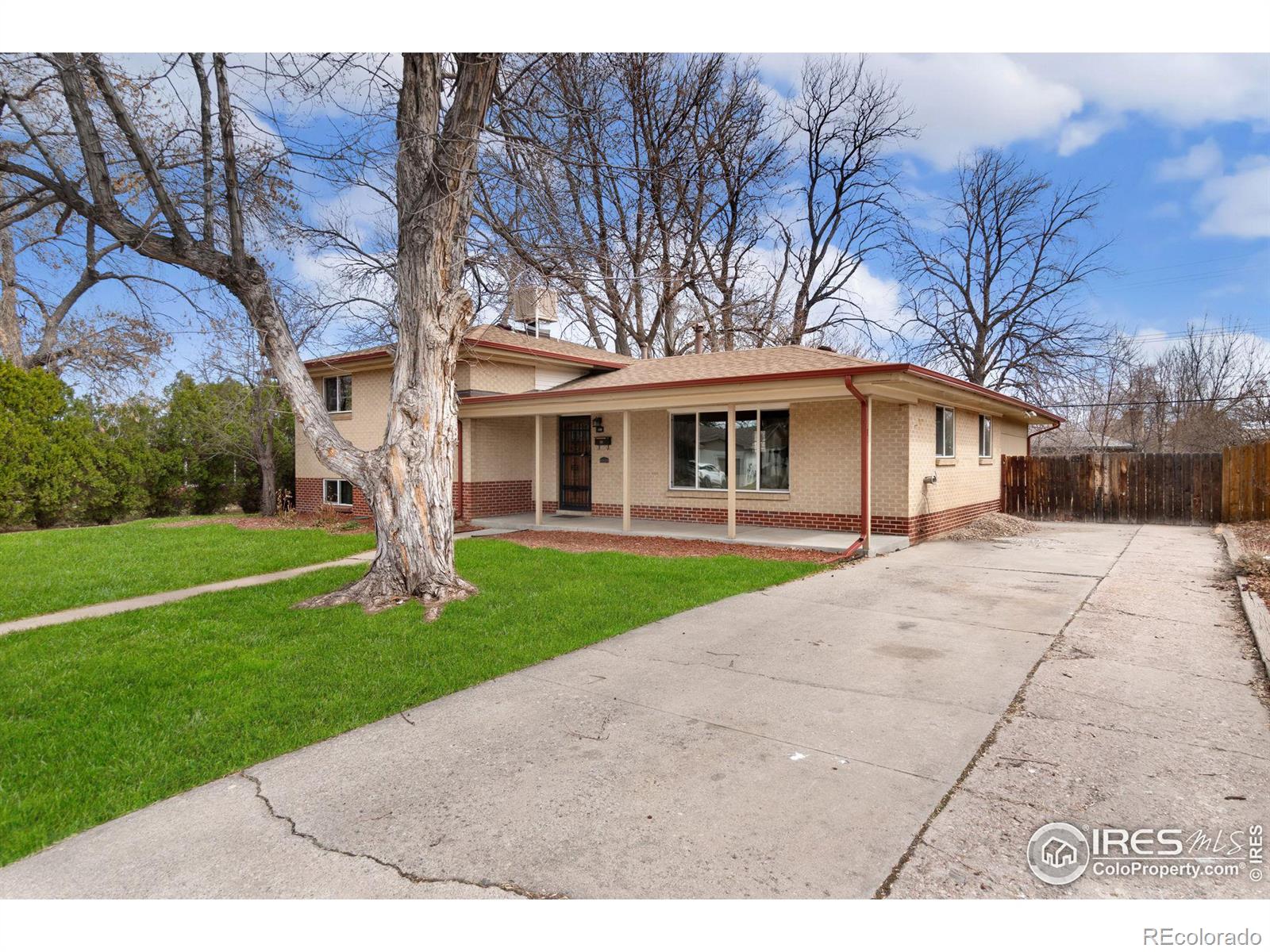MLS Image #2 for 130 s benton street,lakewood, Colorado