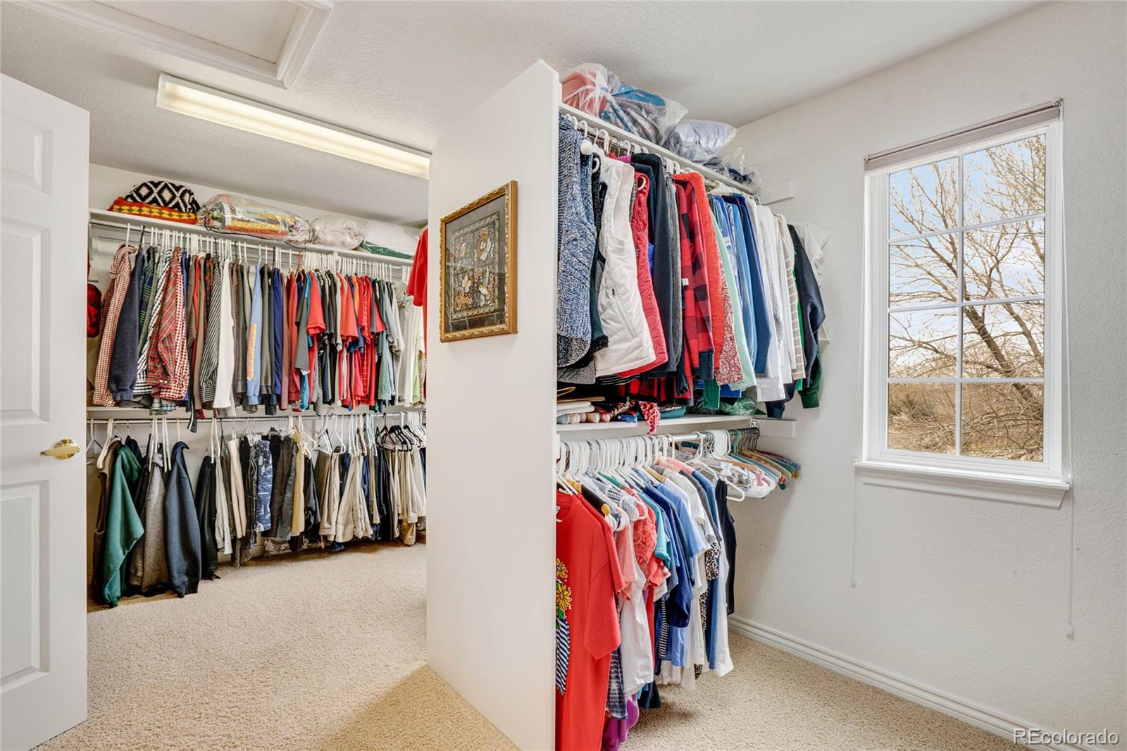MLS Image #18 for 14962  race street,thornton, Colorado