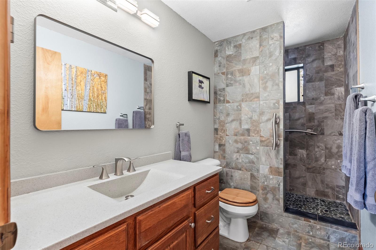 MLS Image #16 for 499  chalet drive,black hawk, Colorado