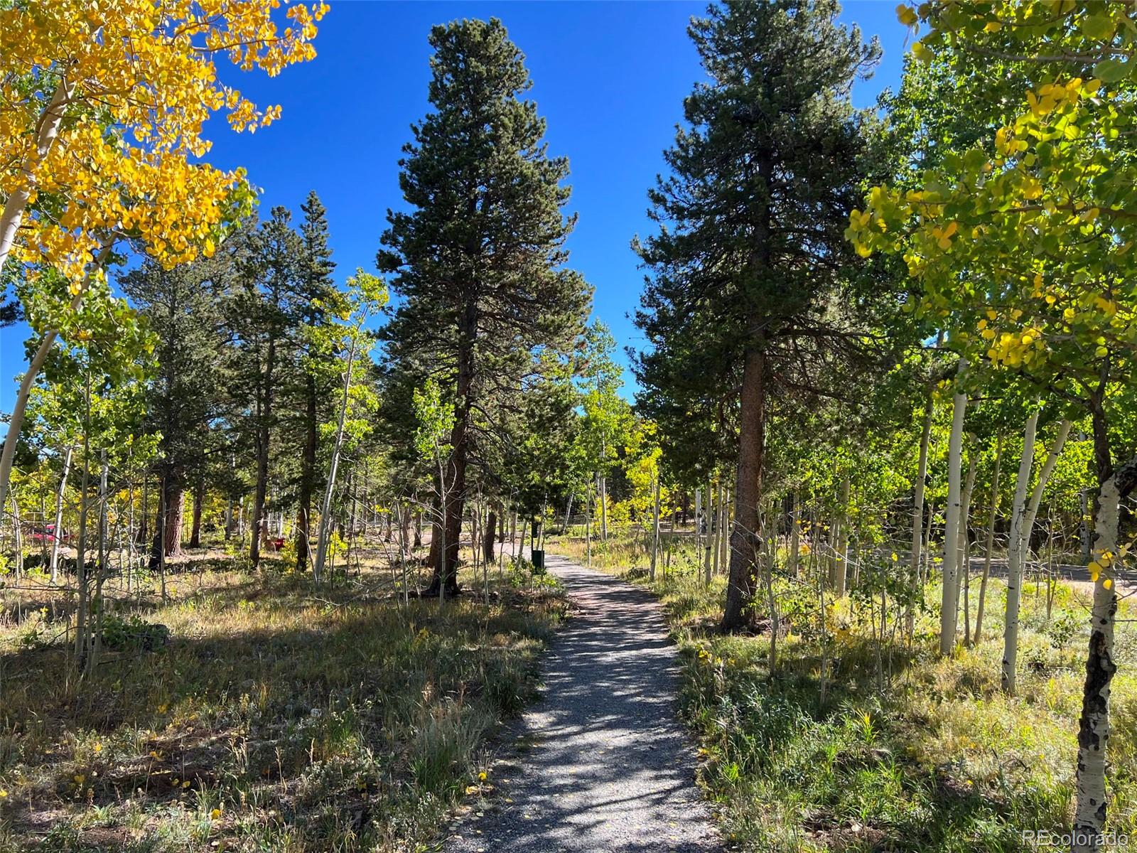 MLS Image #38 for 499  chalet drive,black hawk, Colorado
