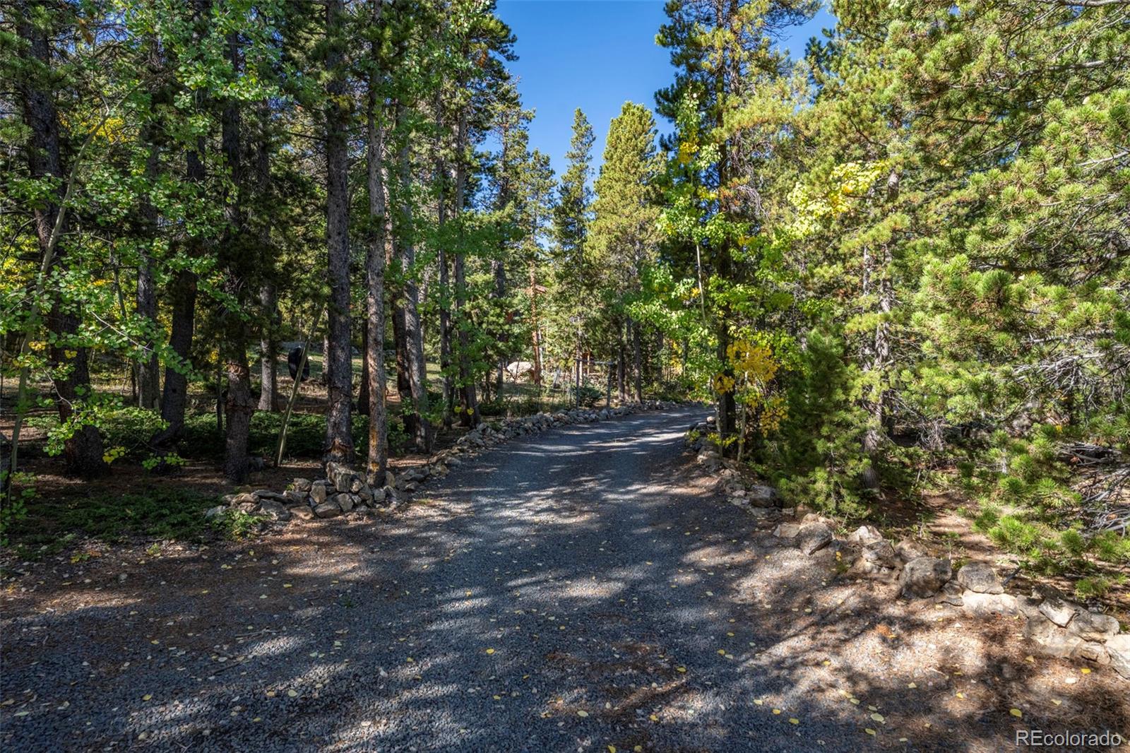 MLS Image #4 for 499  chalet drive,black hawk, Colorado