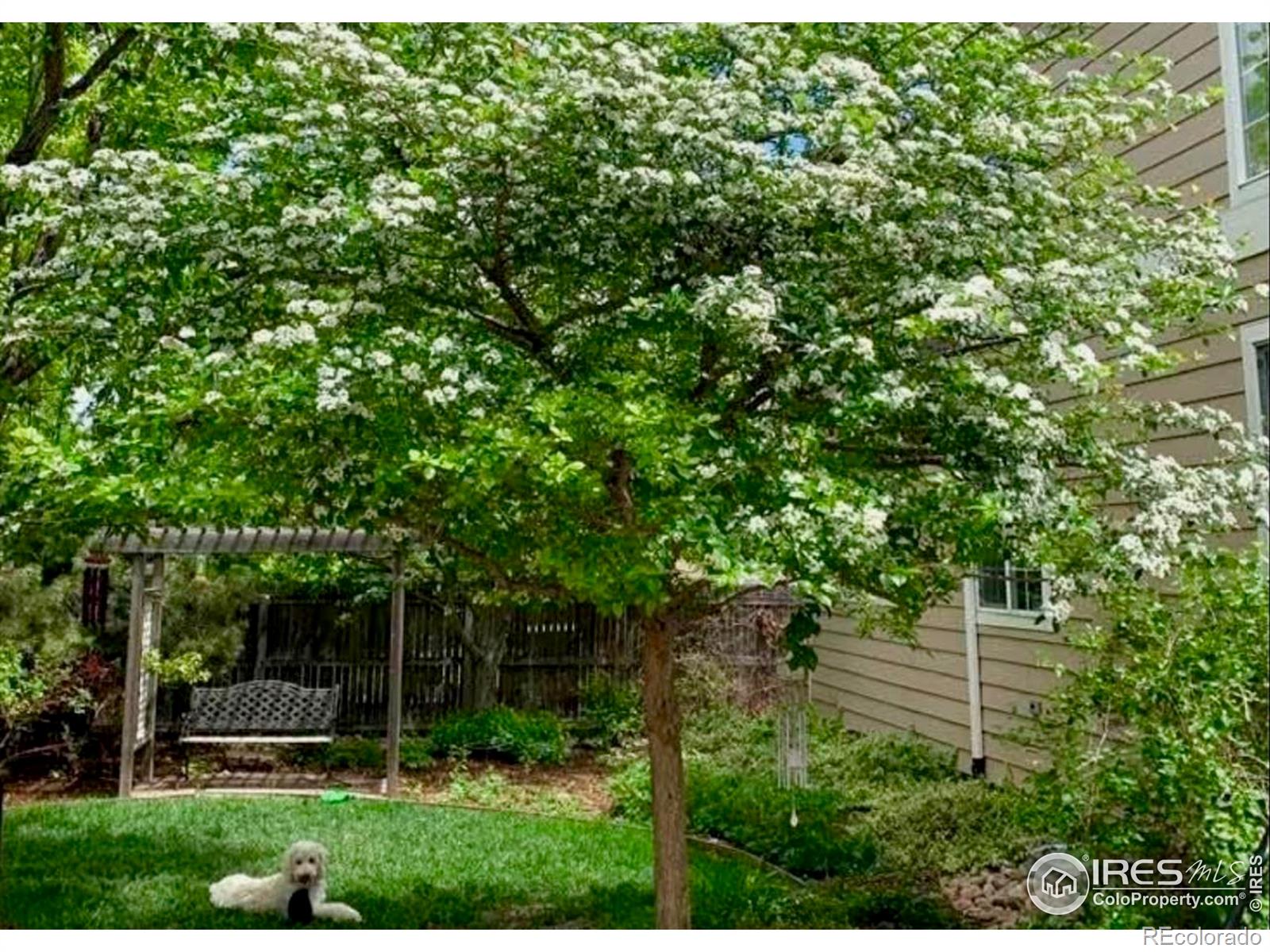 MLS Image #36 for 1526  chukar drive,longmont, Colorado