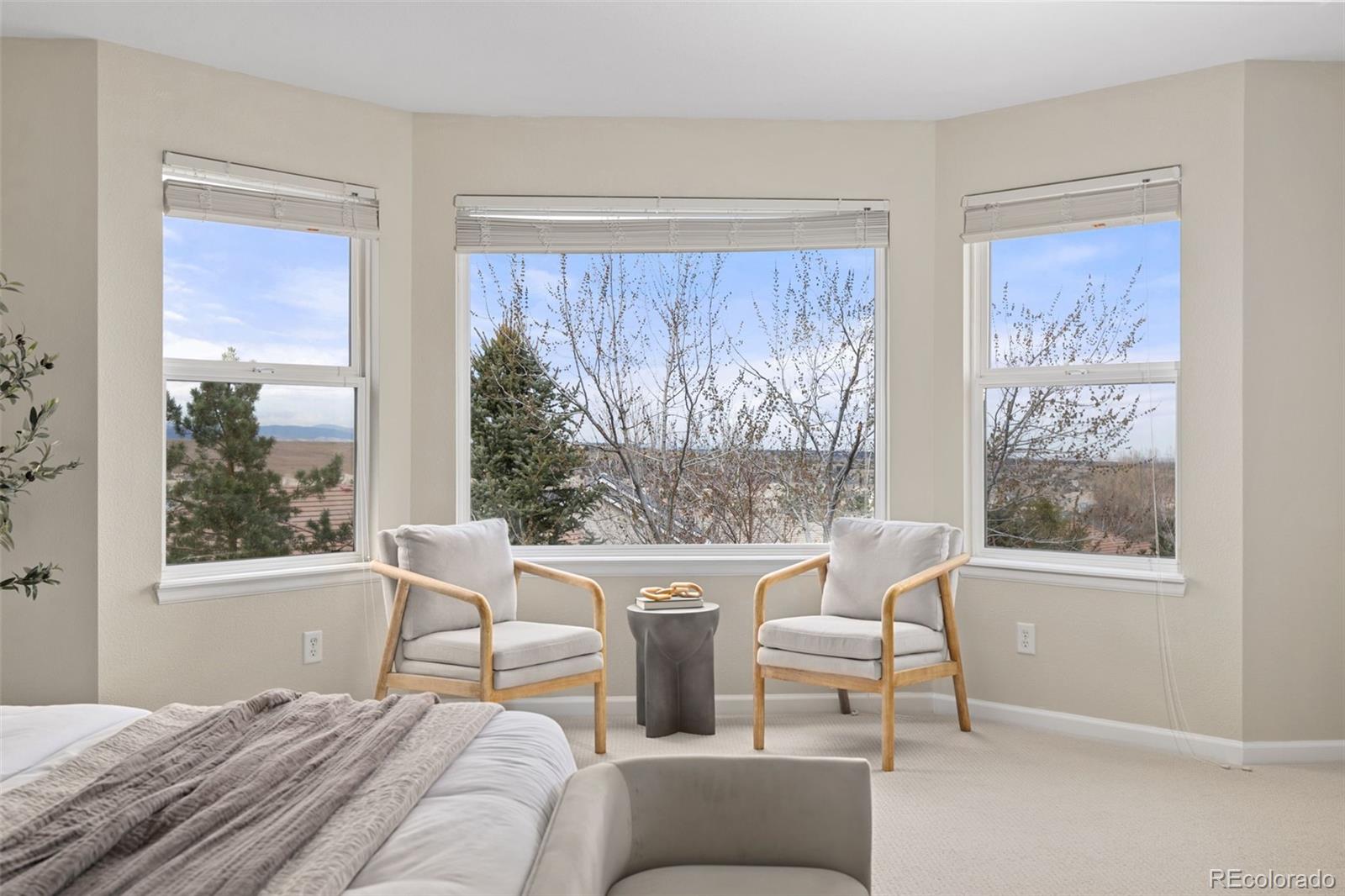 MLS Image #20 for 545 s snowmass circle,superior, Colorado