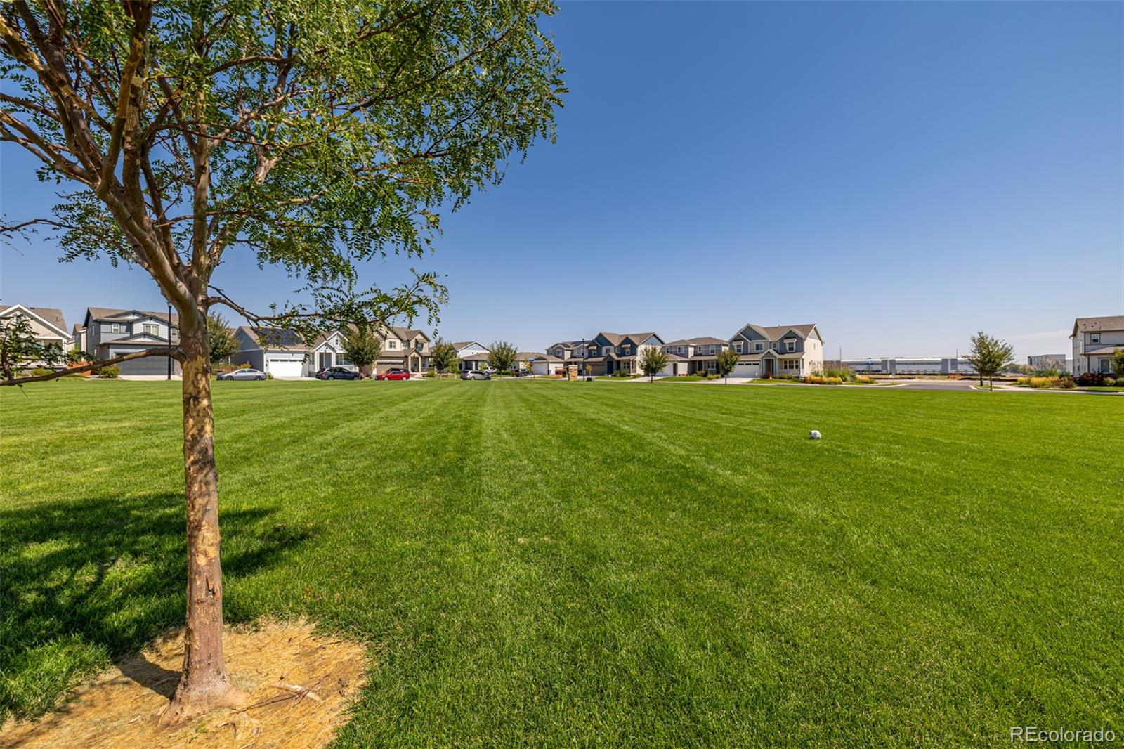 MLS Image #41 for 723  176th avenue,broomfield, Colorado