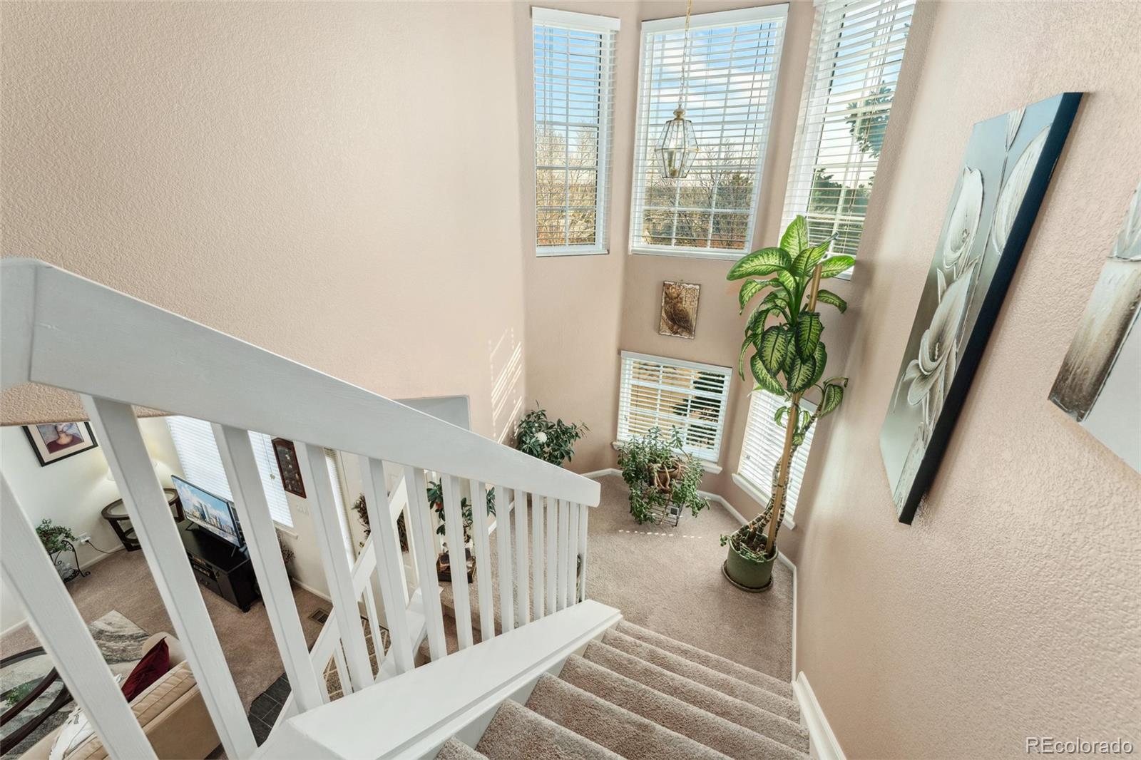 MLS Image #25 for 6819 s webster street e,littleton, Colorado