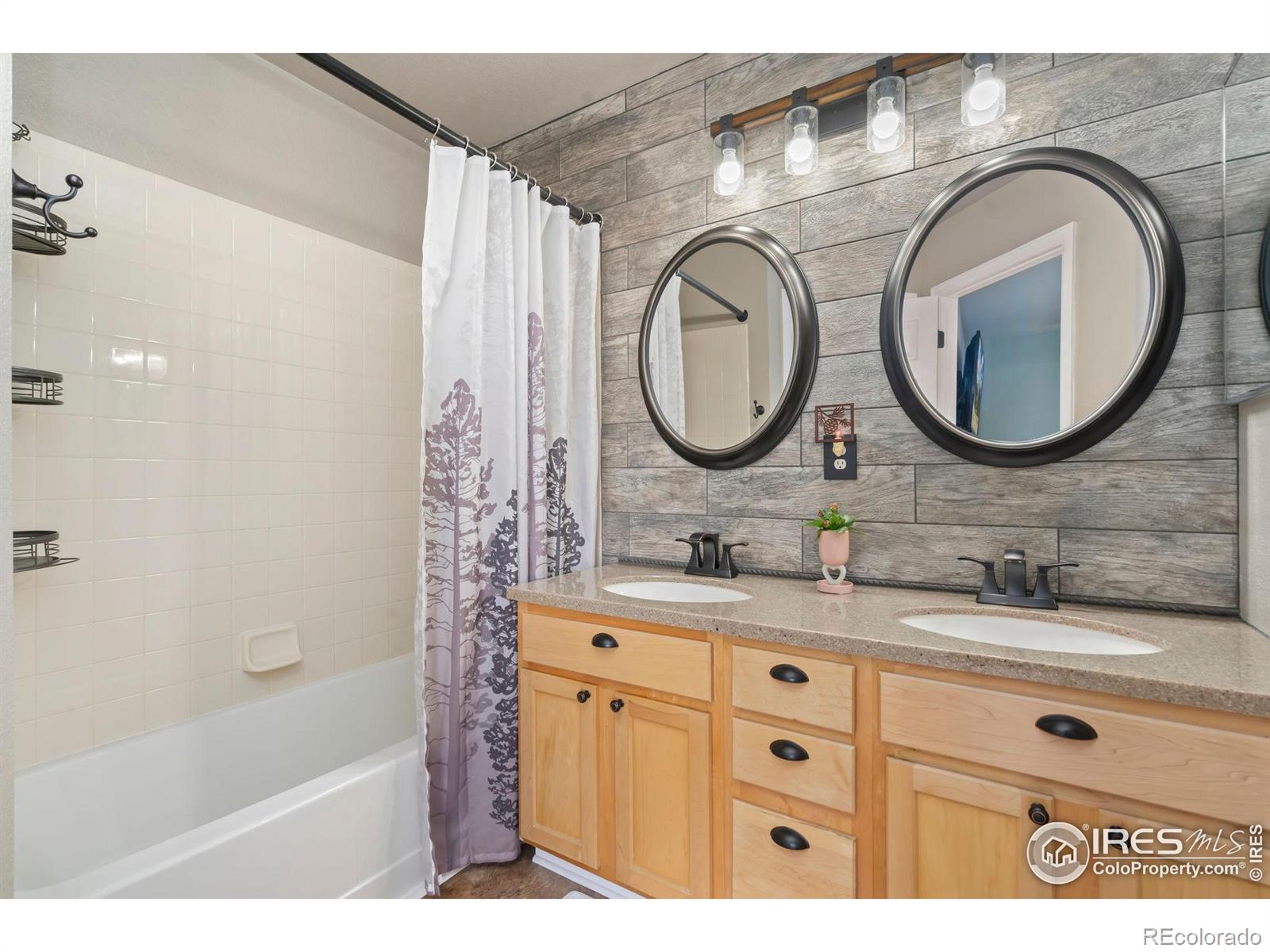 MLS Image #13 for 3449  cheetah drive,loveland, Colorado