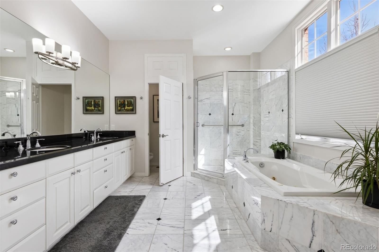 MLS Image #6 for 301  garfield street 1e,denver, Colorado