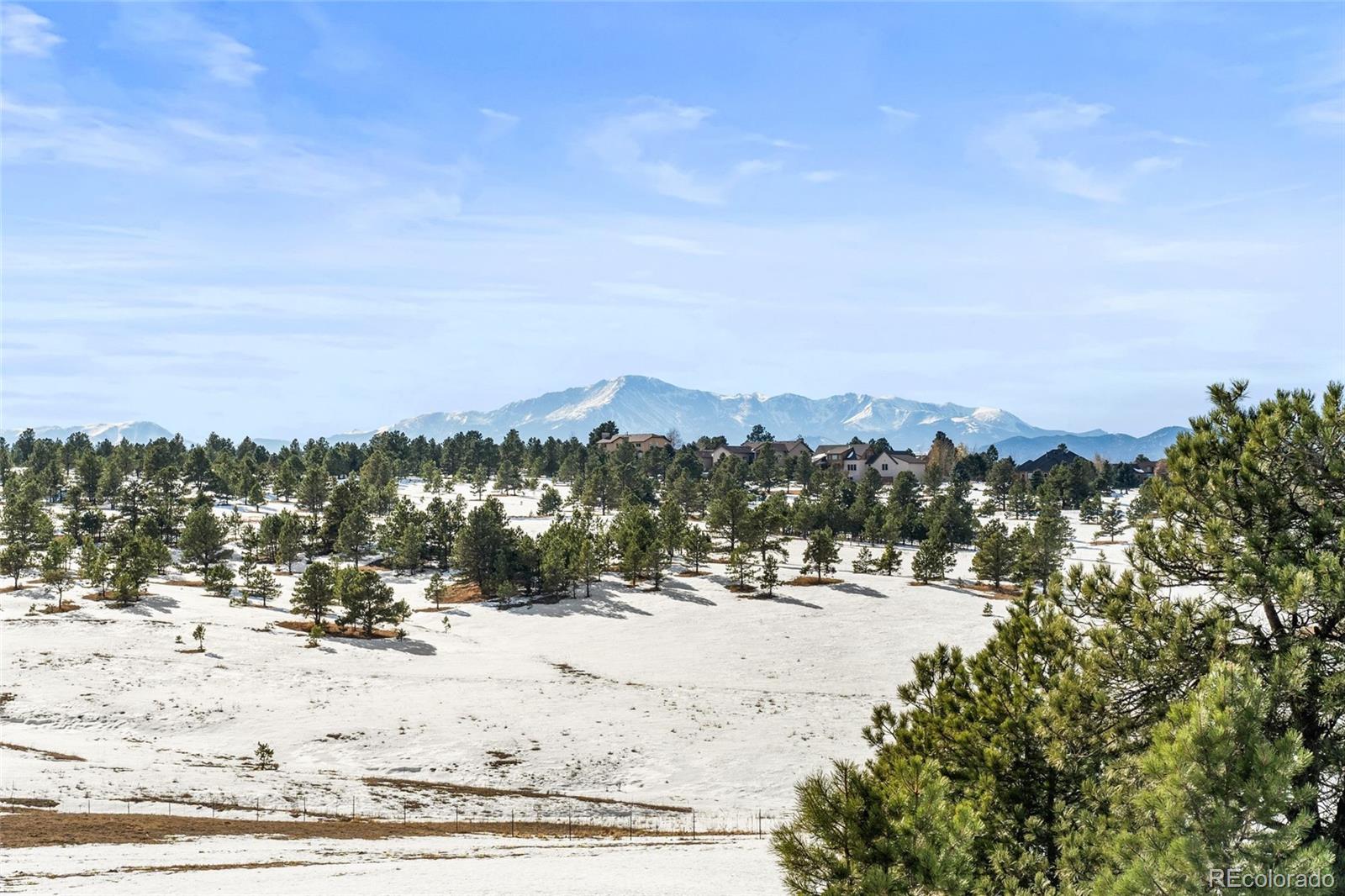 MLS Image #2 for 4675  walker road,colorado springs, Colorado