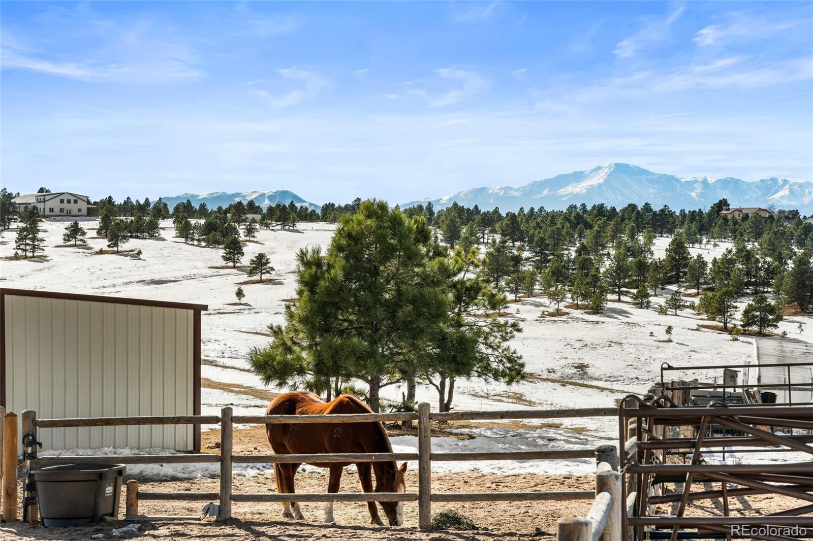 MLS Image #36 for 4675  walker road,colorado springs, Colorado