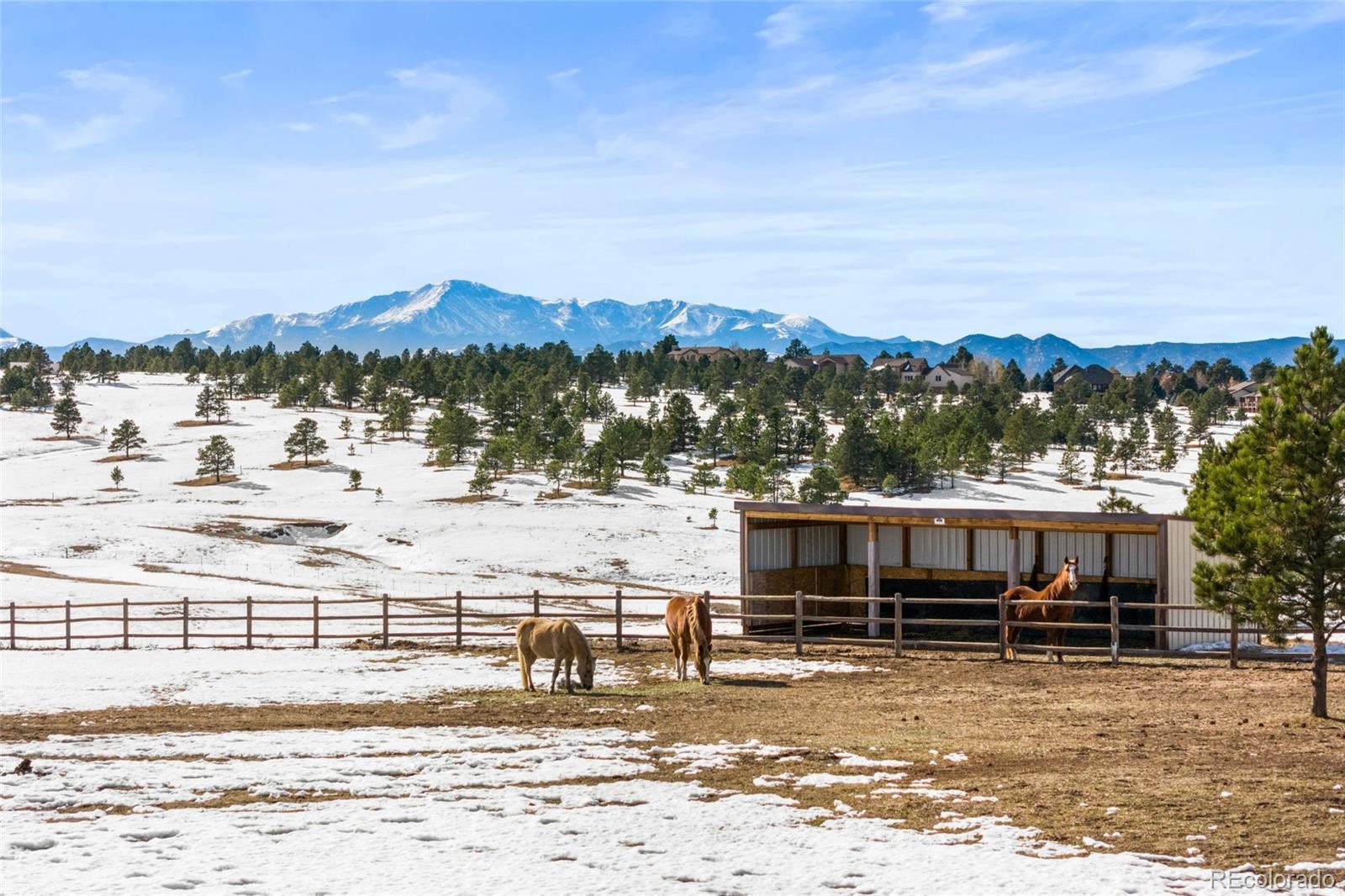 MLS Image #37 for 4675  walker road,colorado springs, Colorado