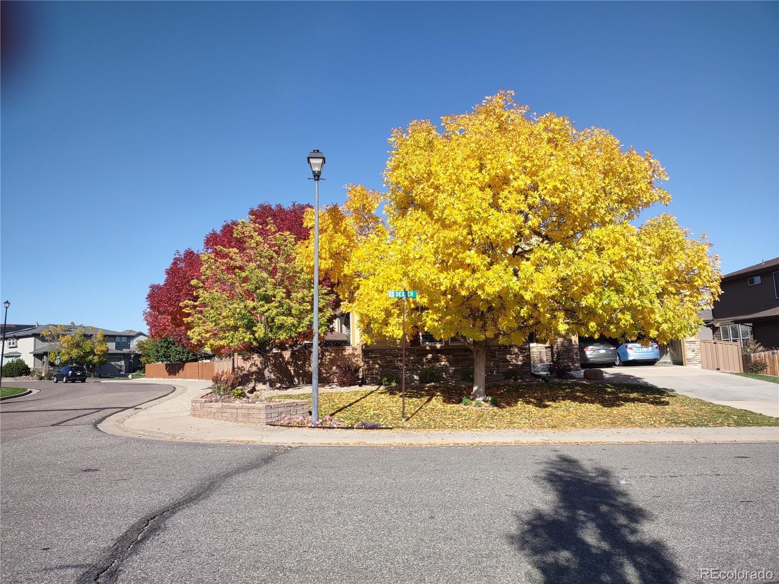 MLS Image #31 for 13603  dexter street,thornton, Colorado