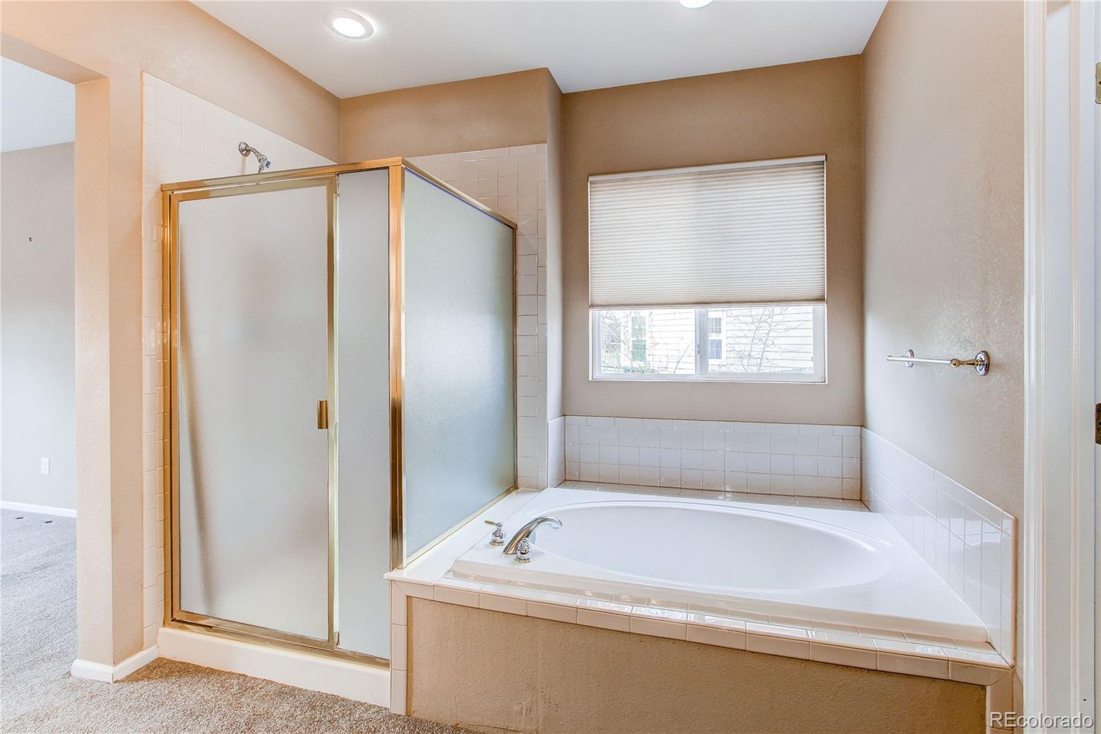 MLS Image #19 for 13744  columbine street,thornton, Colorado