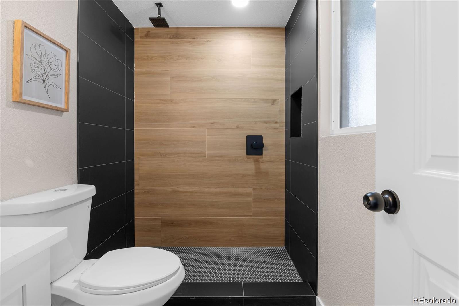 MLS Image #17 for 8051  clarkson court,denver, Colorado