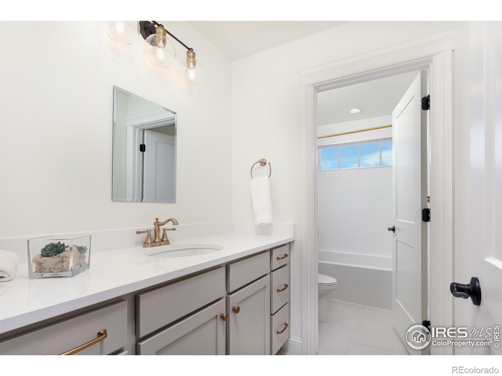 MLS Image #19 for 1577  chestnut avenue,erie, Colorado