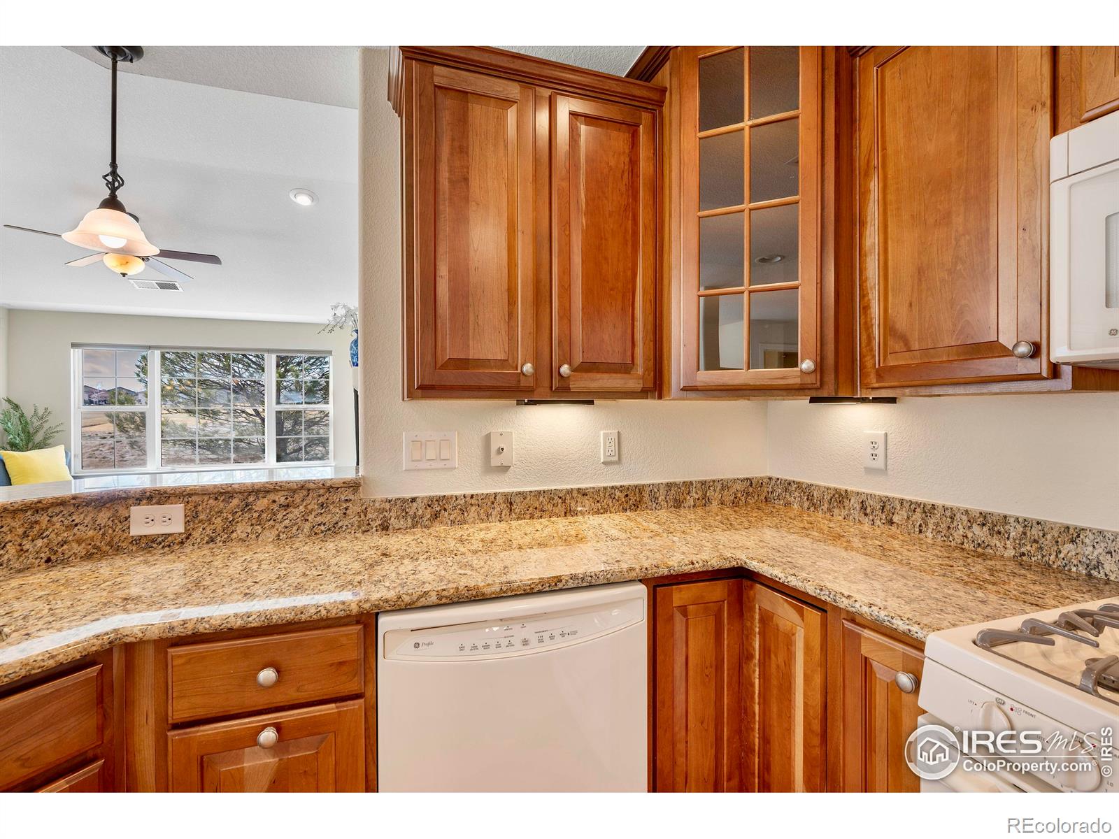 MLS Image #14 for 15123  xenia street,thornton, Colorado