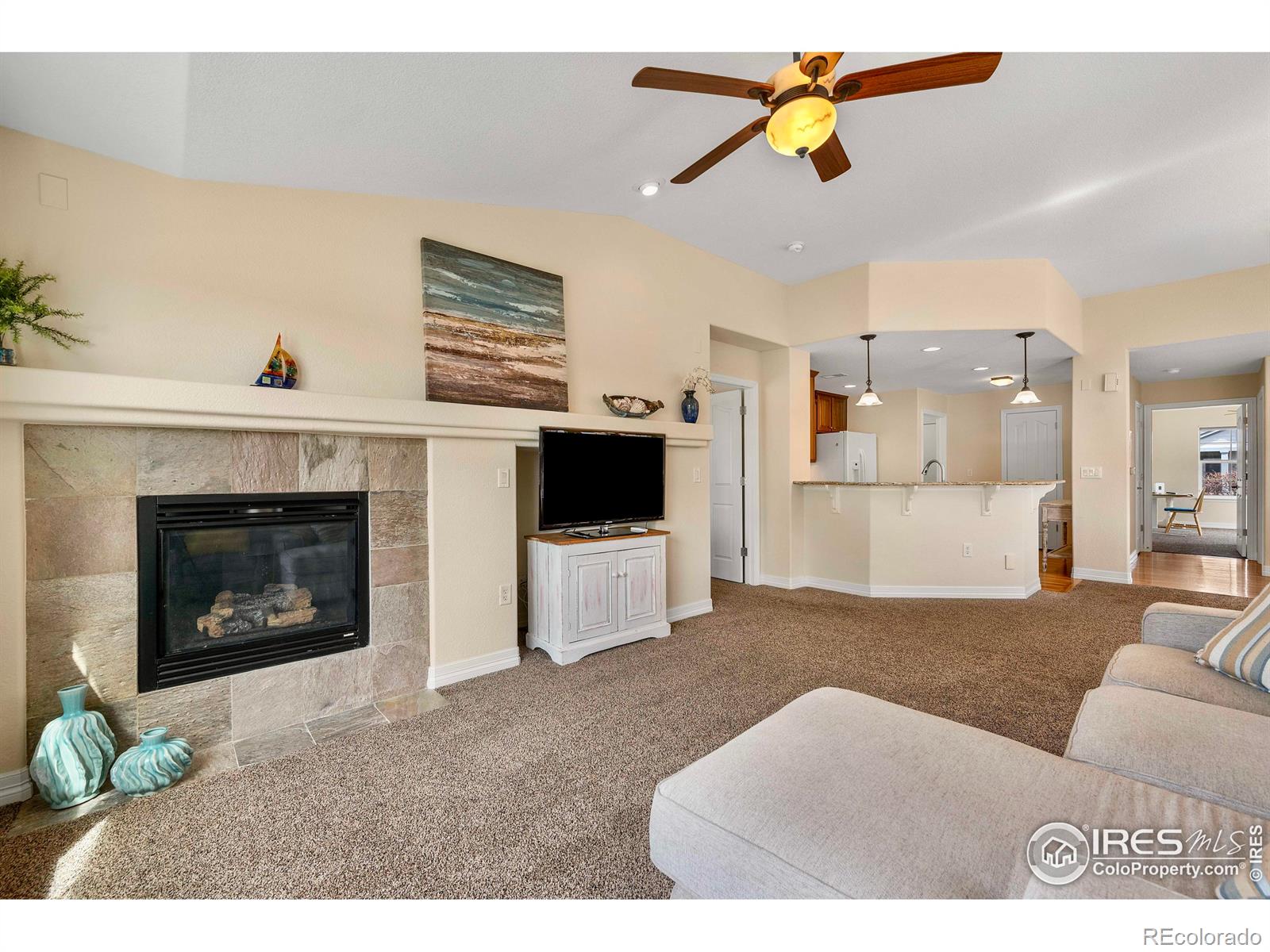 MLS Image #6 for 15123  xenia street,thornton, Colorado