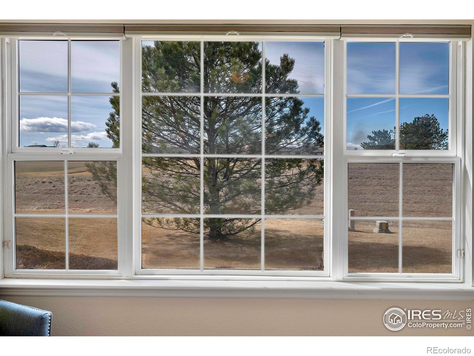 MLS Image #8 for 15123  xenia street,thornton, Colorado