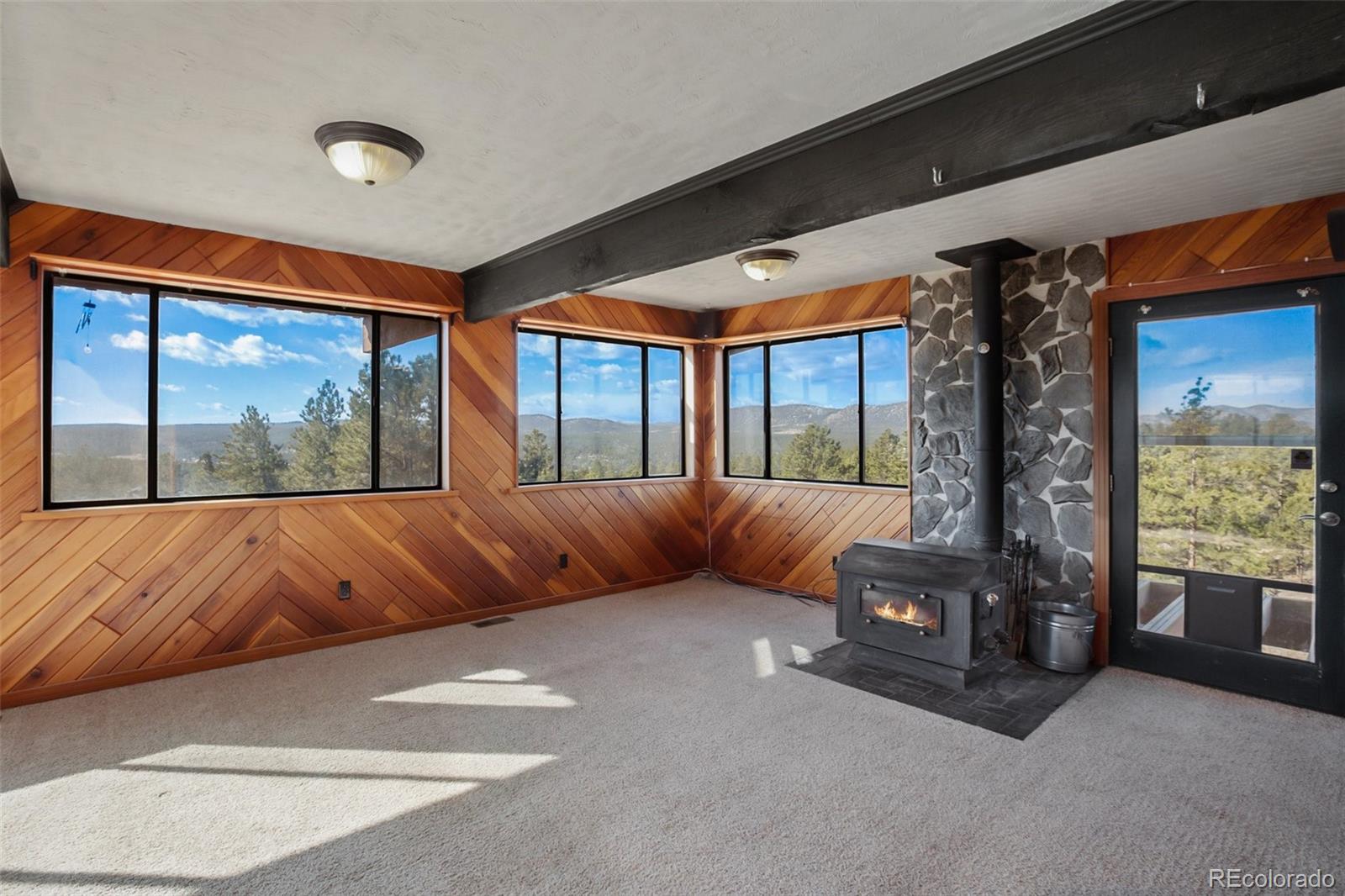 MLS Image #12 for 1084  circle drive,florissant, Colorado