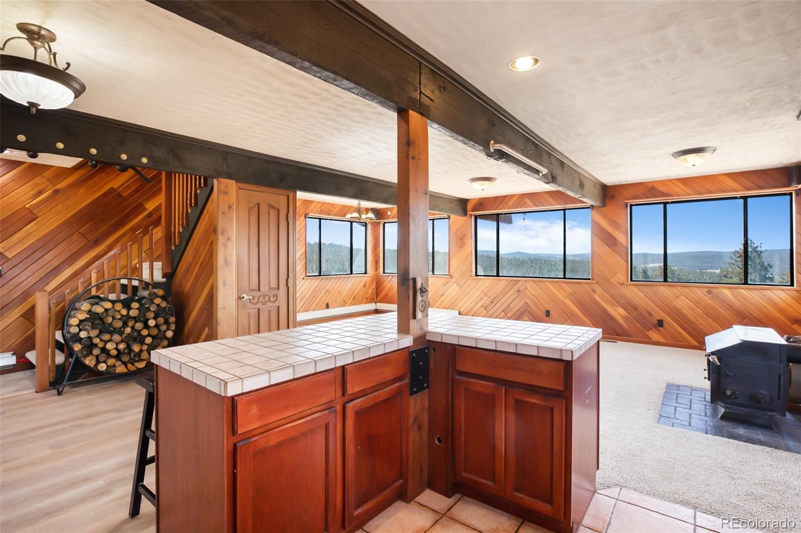 MLS Image #23 for 1084  circle drive,florissant, Colorado