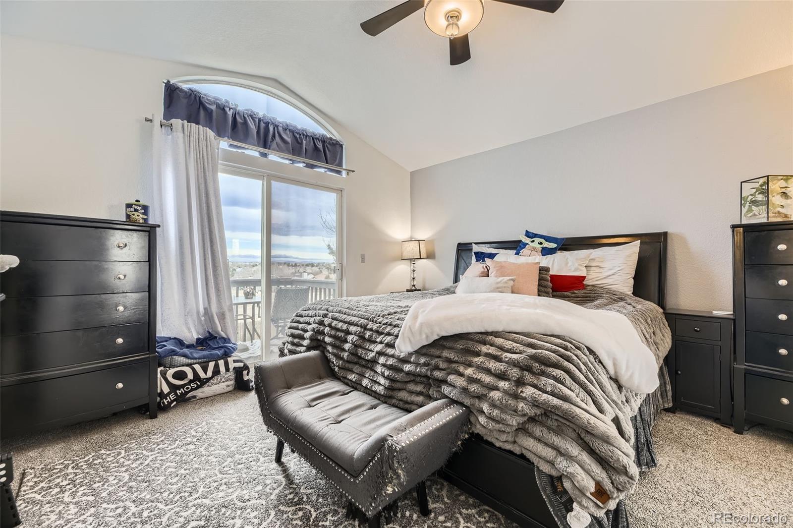 MLS Image #11 for 10767  appaloosa court,parker, Colorado