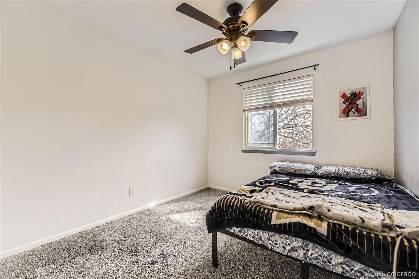 MLS Image #13 for 10767  appaloosa court,parker, Colorado