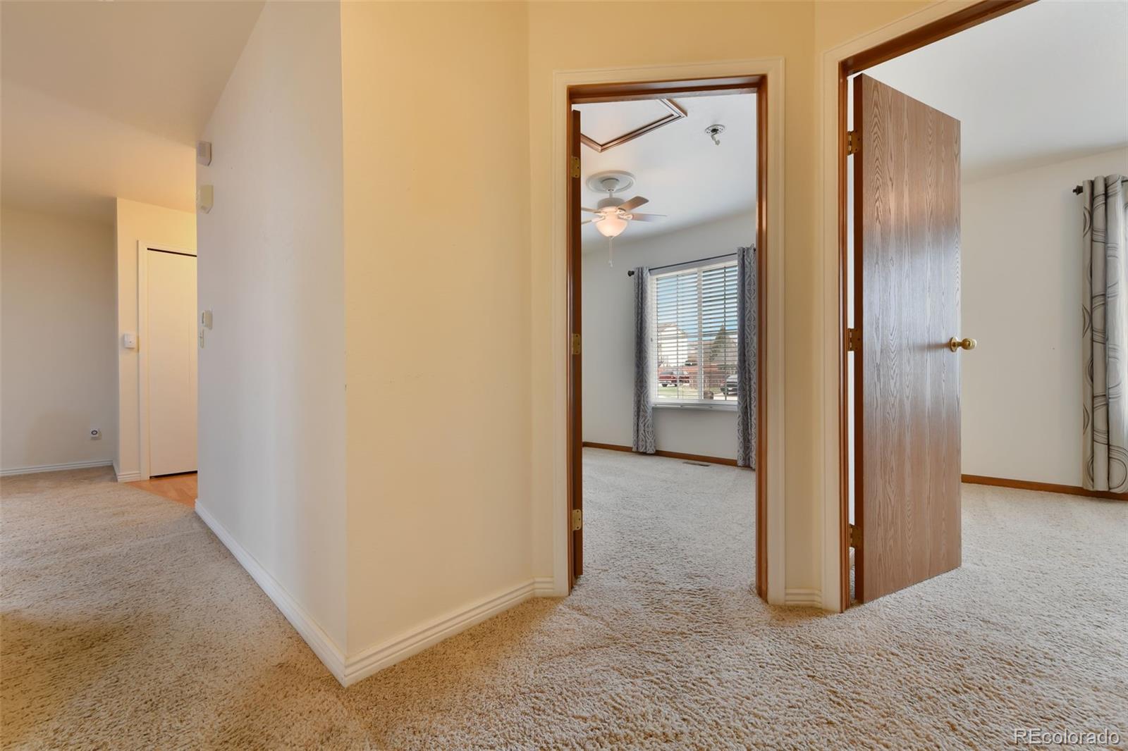 MLS Image #21 for 830  stargate drive,colorado springs, Colorado