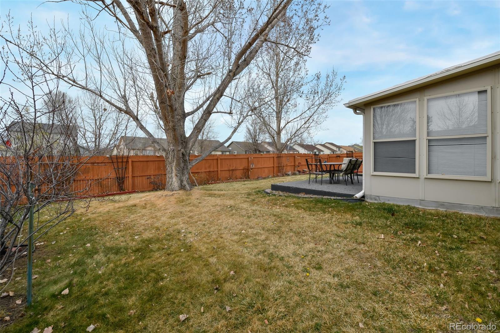 MLS Image #42 for 830  stargate drive,colorado springs, Colorado