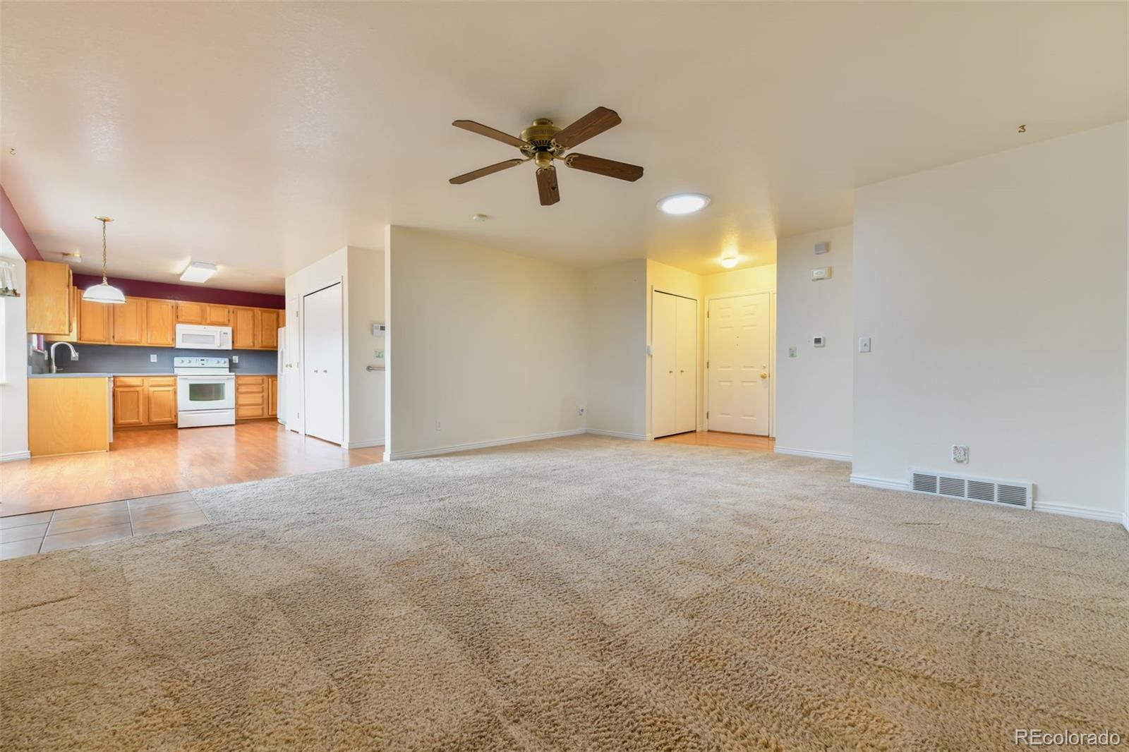 MLS Image #9 for 830  stargate drive,colorado springs, Colorado