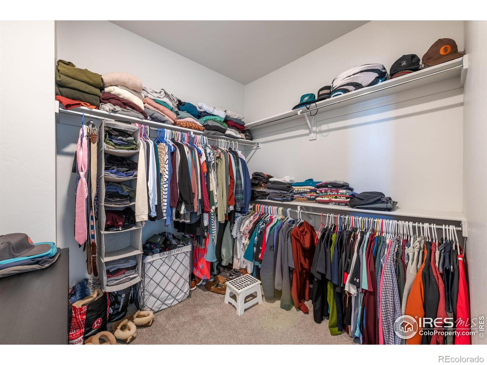 MLS Image #17 for 751  crossbill drive,berthoud, Colorado