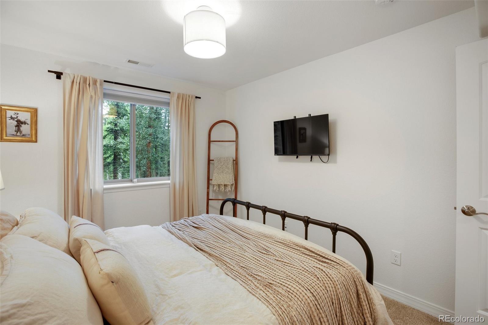 MLS Image #28 for 277  aspen circle,divide, Colorado