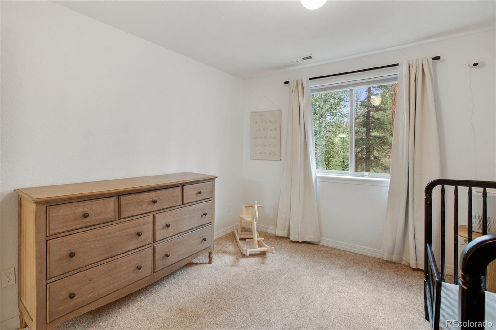 MLS Image #29 for 277  aspen circle,divide, Colorado