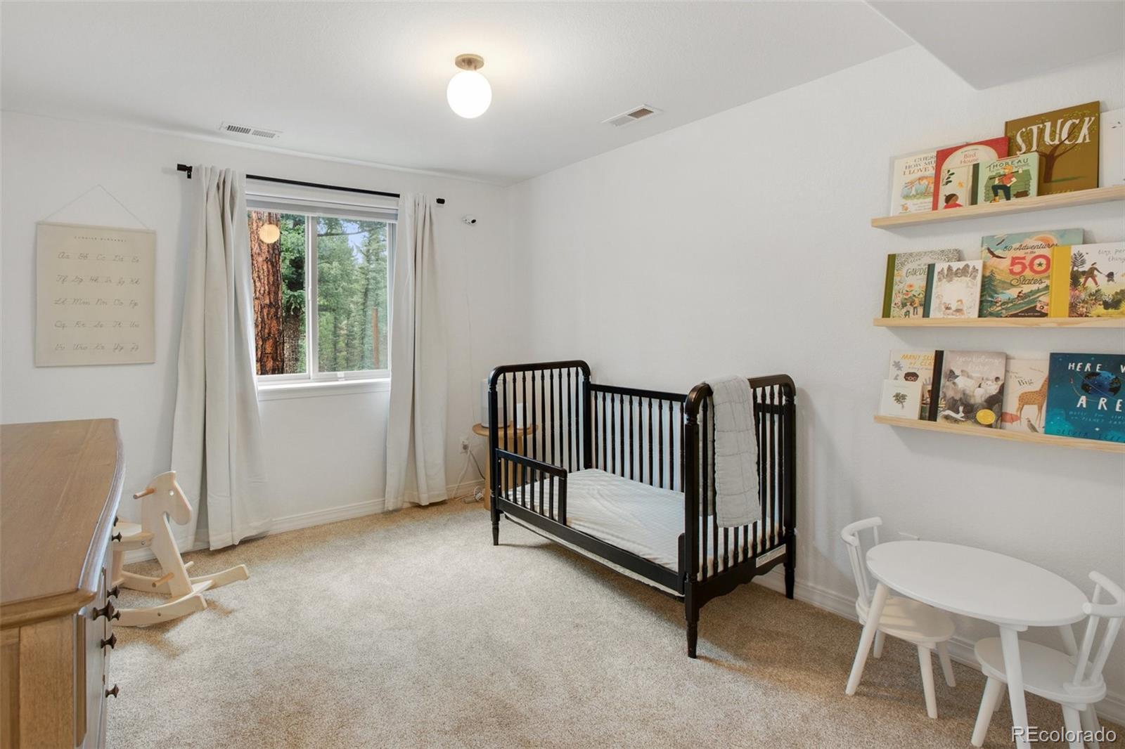 MLS Image #30 for 277  aspen circle,divide, Colorado