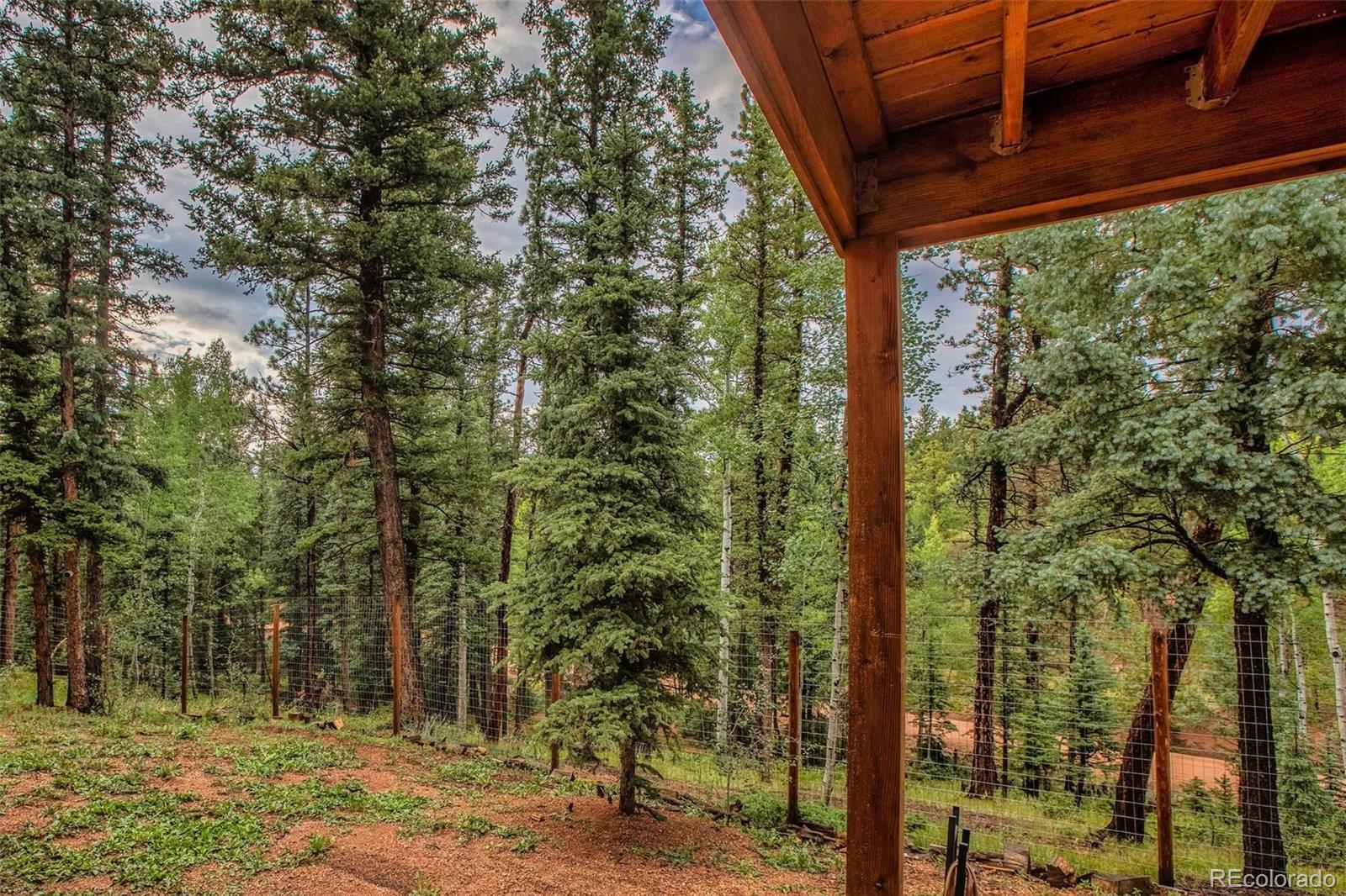 MLS Image #34 for 277  aspen circle,divide, Colorado