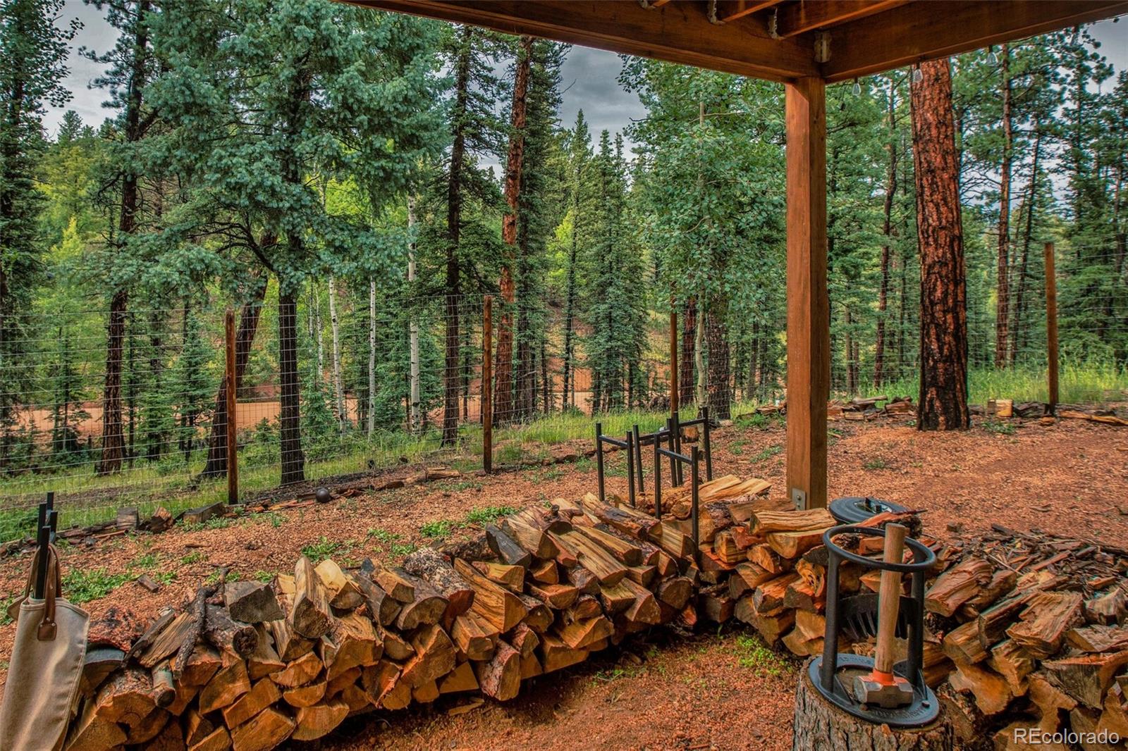 MLS Image #35 for 277  aspen circle,divide, Colorado