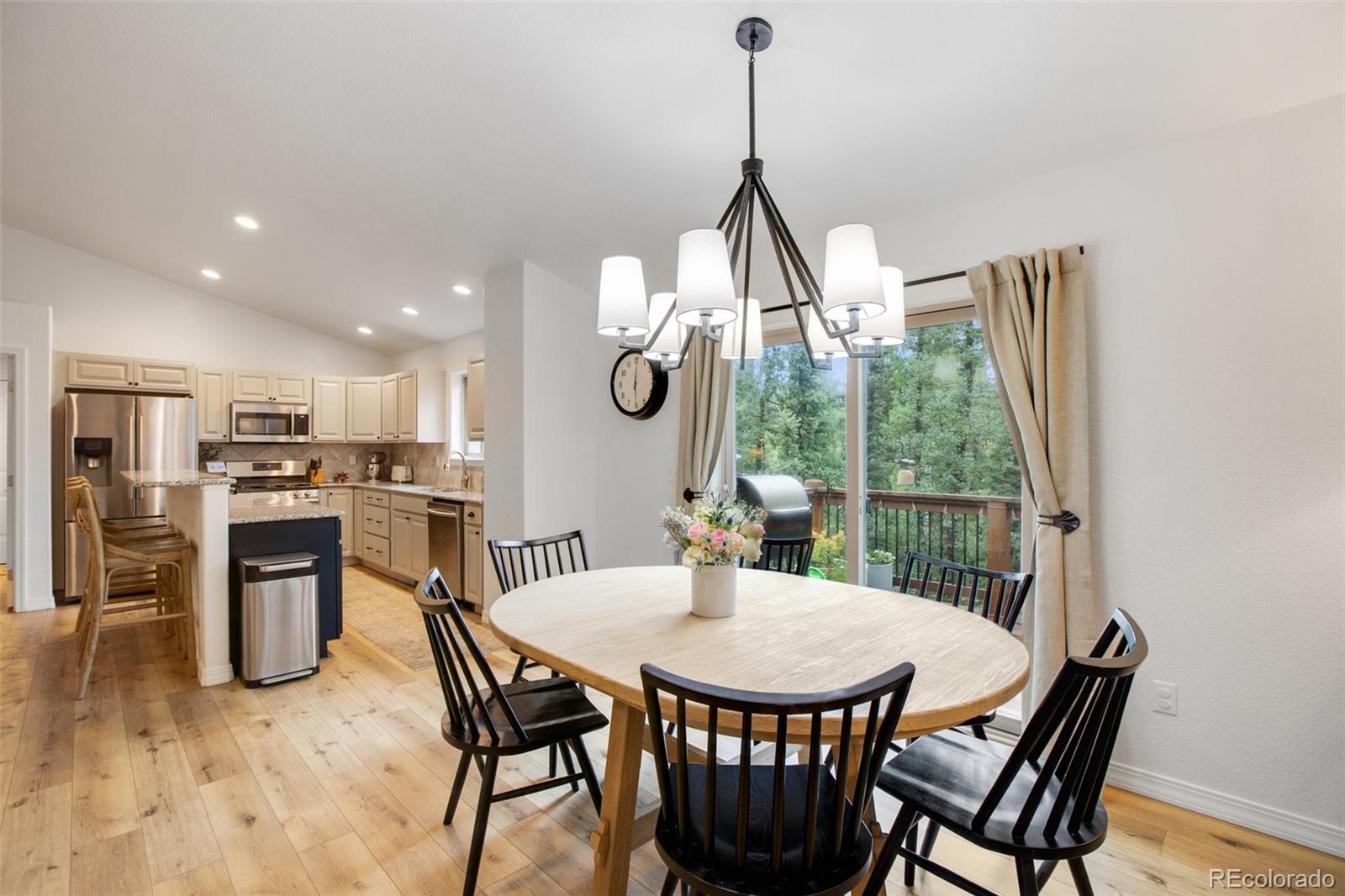 MLS Image #8 for 277  aspen circle,divide, Colorado