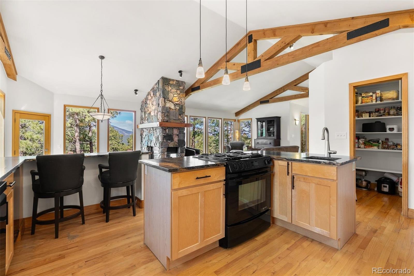 MLS Image #15 for 5811  herzman drive,evergreen, Colorado
