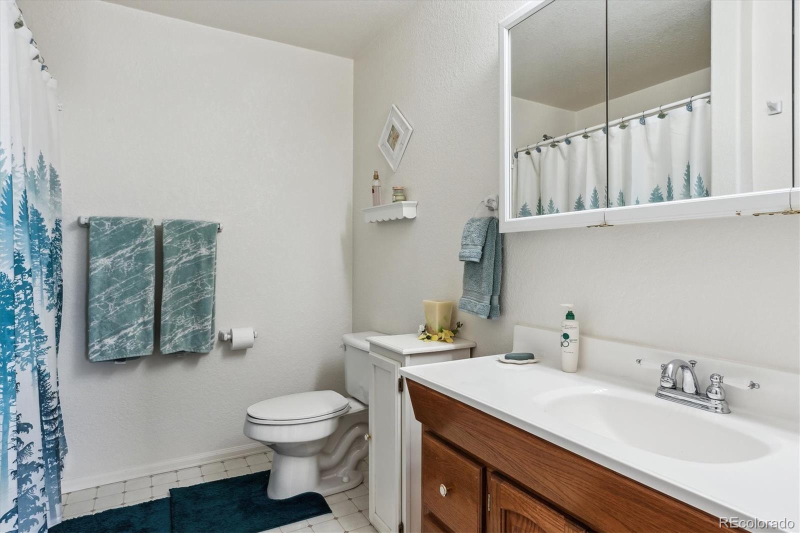 MLS Image #19 for 13255  woodlake road,elbert, Colorado