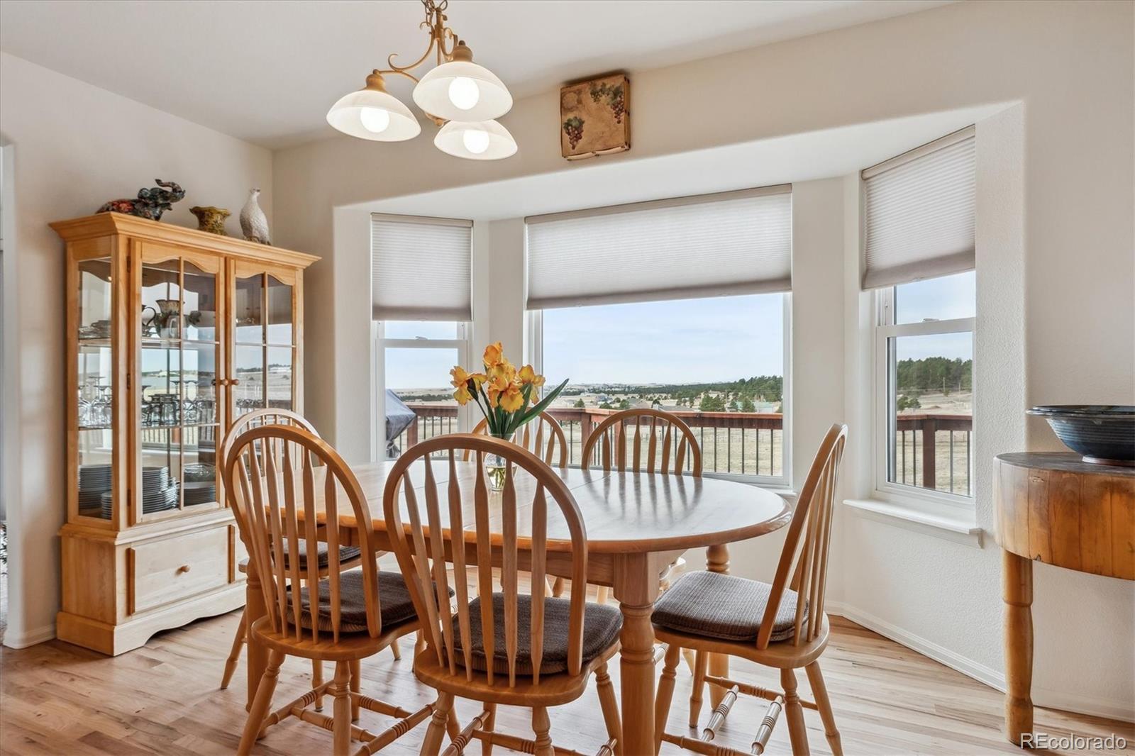 MLS Image #3 for 13255  woodlake road,elbert, Colorado