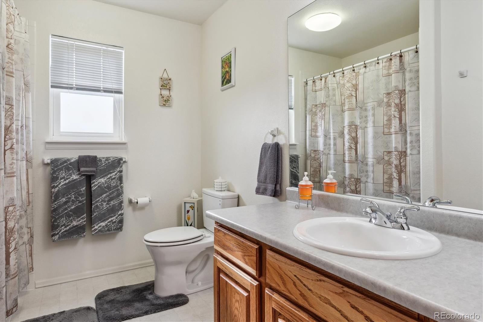 MLS Image #9 for 13255  woodlake road,elbert, Colorado