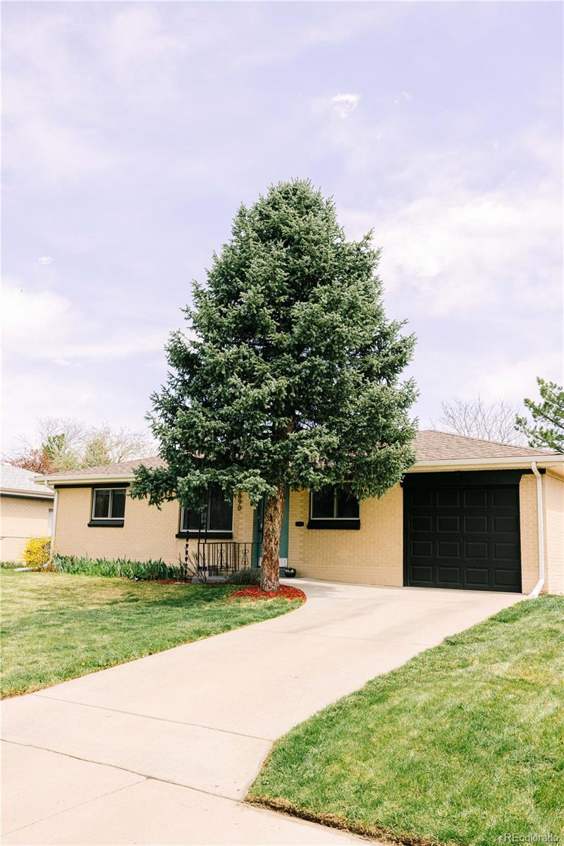 MLS Image #4 for 3890  moore street,wheat ridge, Colorado