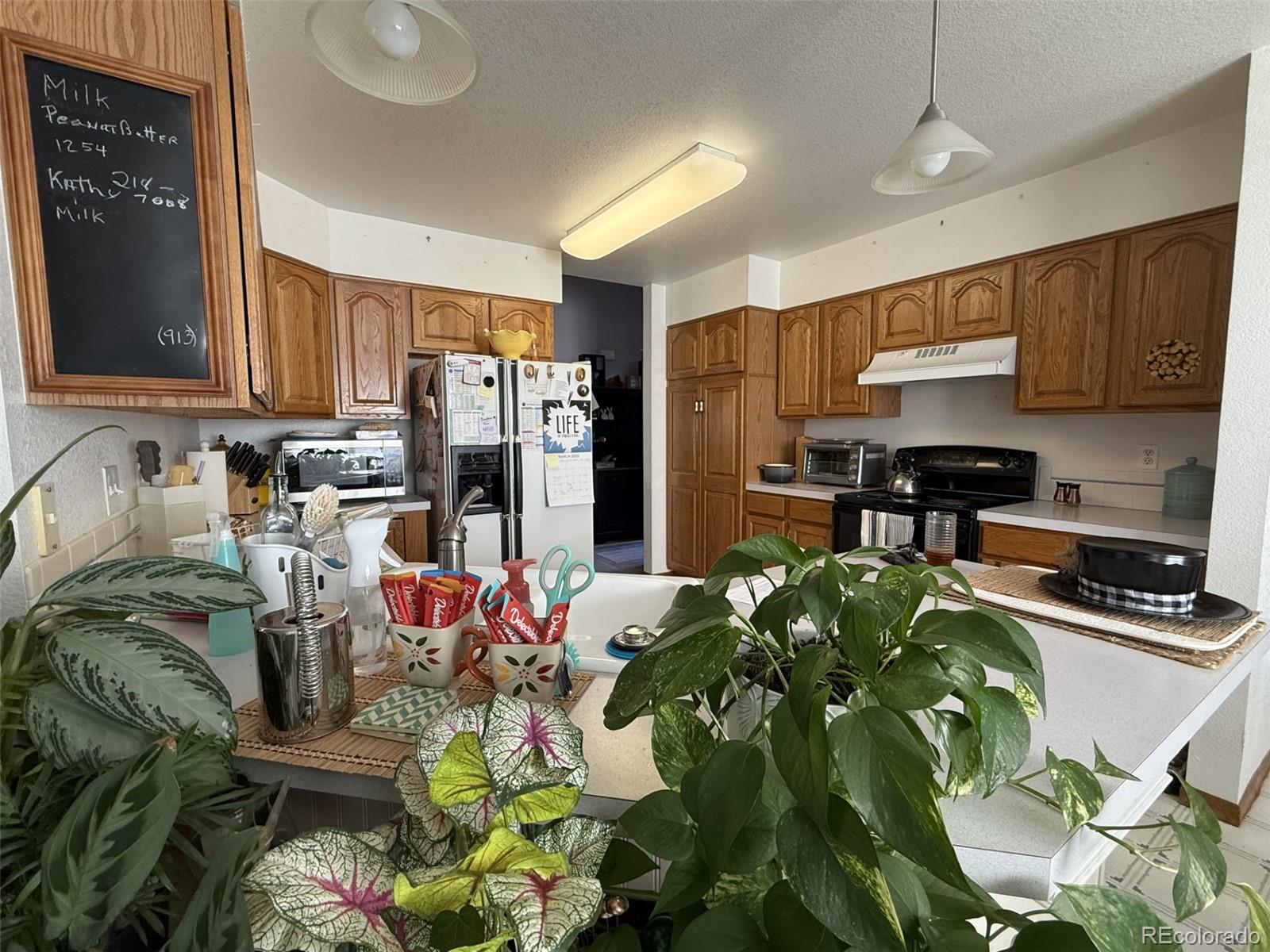 MLS Image #8 for 207  sioux drive,berthoud, Colorado