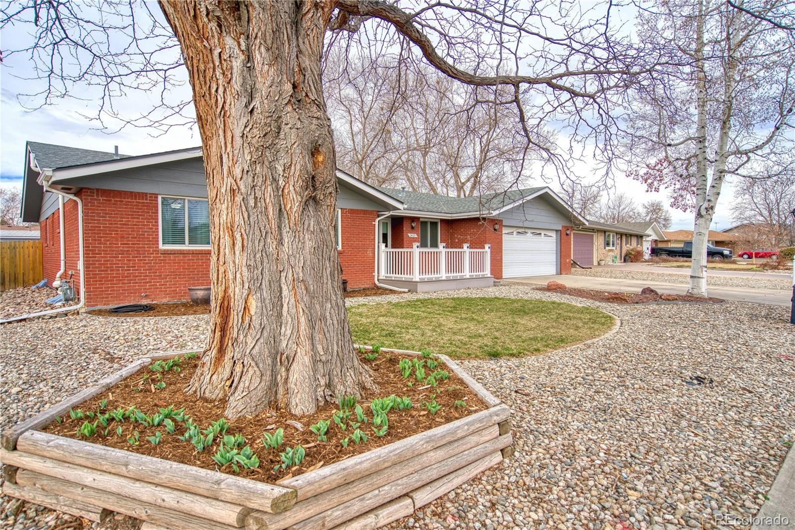MLS Image #2 for 2425  jewel street,longmont, Colorado
