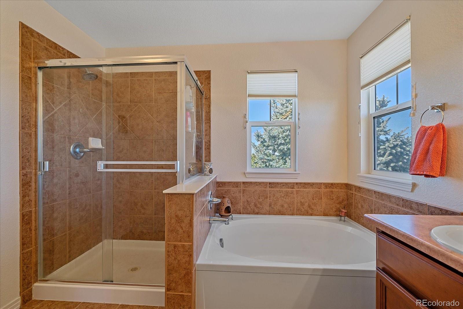 MLS Image #23 for 7183  winthrop court,castle rock, Colorado